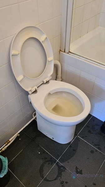  verstopping toilet Zaandam